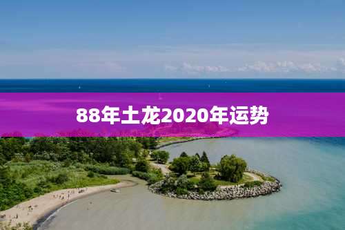 88年土龙2020年运势