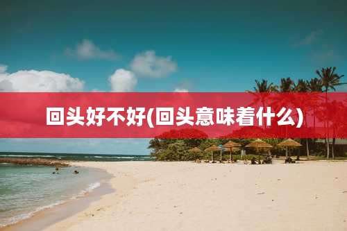 回头好不好(回头意味着什么)