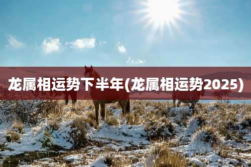 龙属相运势下半年(龙属相运势2025)