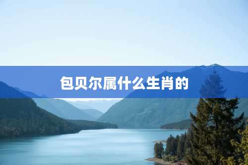 包贝尔属什么生肖的