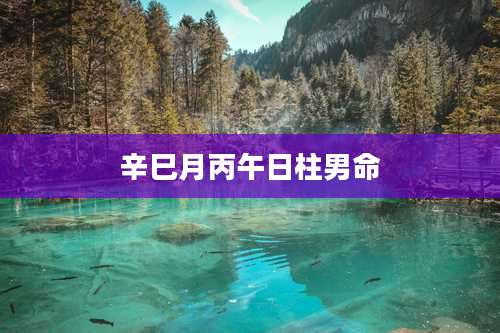 辛巳月丙午日柱男命
