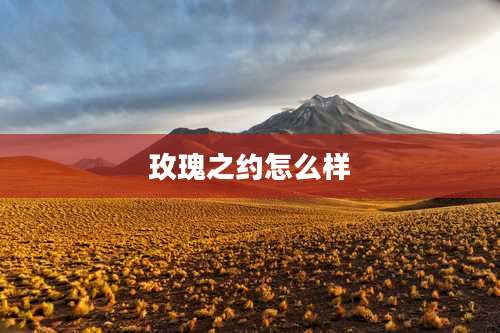 玫瑰之约怎么样