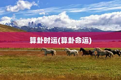 算卦时运(算卦命运)