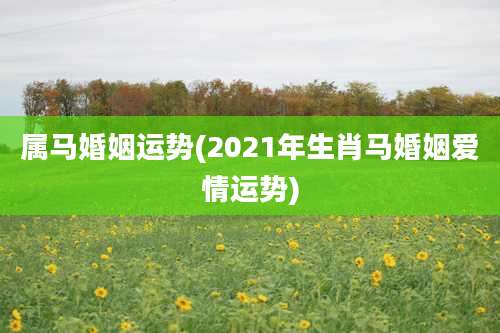 属马婚姻运势(2021年生肖马婚姻爱情运势)