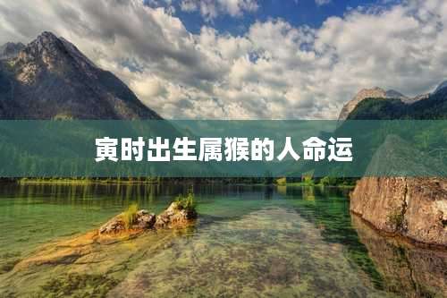 寅时出生属猴的人命运