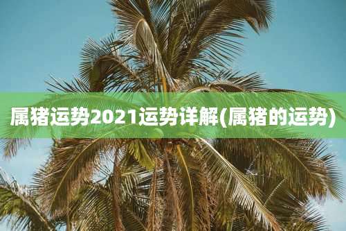 属猪运势2021运势详解(属猪的运势)