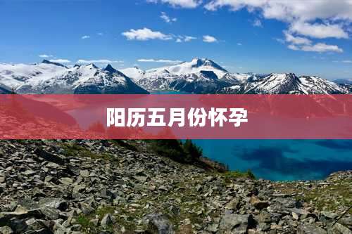 阳历五月份怀孕