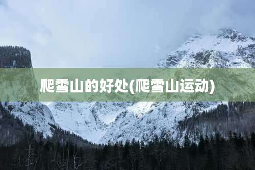 爬雪山的好处(爬雪山运动)