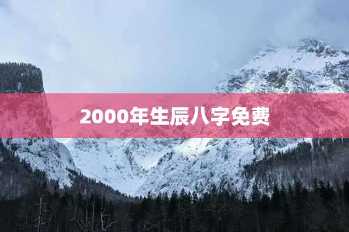 2000年生辰八字免费