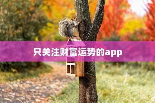 只关注财富运势的app
