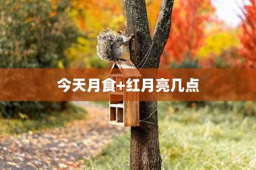 今天月食+红月亮几点