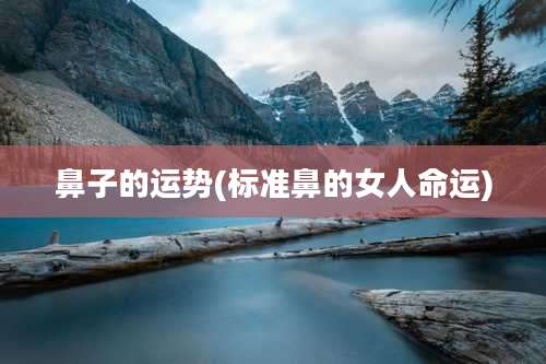 鼻子的运势(标准鼻的女人命运)