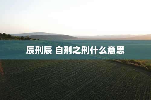 辰刑辰 自刑之刑什么意思