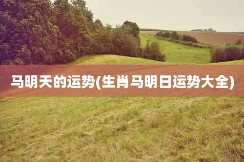 马明天的运势(生肖马明日运势大全)