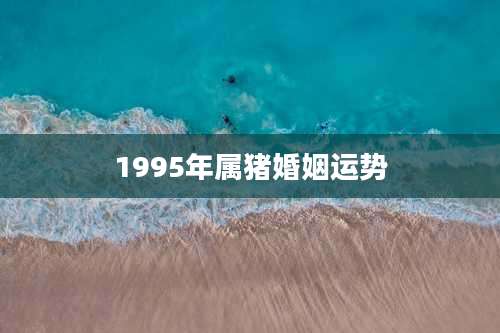 1995年属猪婚姻运势
