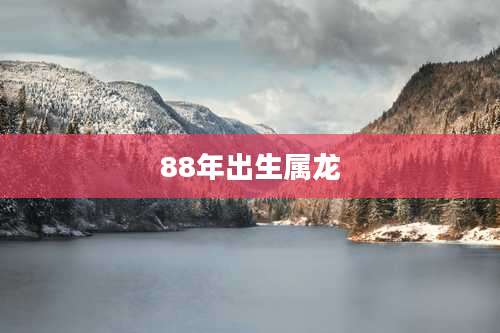 88年出生属龙