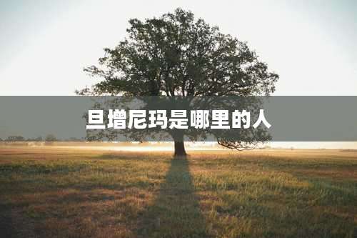 旦增尼玛是哪里的人