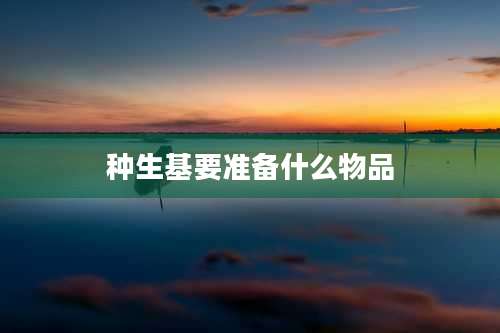 种生基要准备什么物品