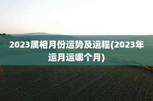 2023属相月份运势及运程(2023年运月运哪个月)