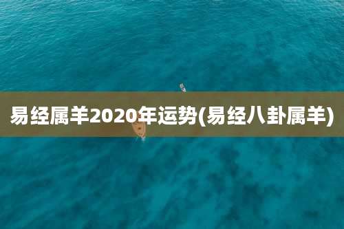 易经属羊2020年运势(易经八卦属羊)