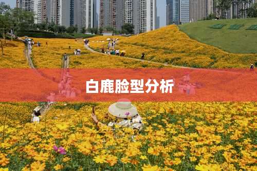 白鹿脸型分析
