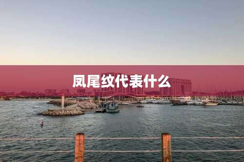 凤尾纹代表什么