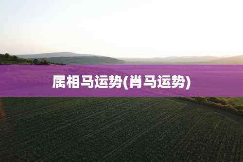 属相马运势(肖马运势)