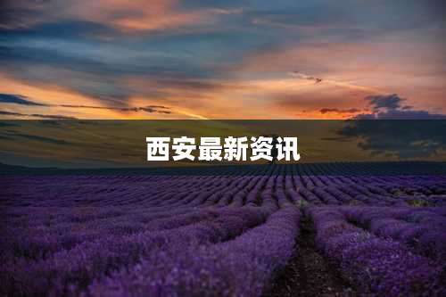 西安最新资讯
