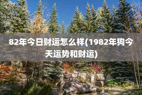 82年今日财运怎么样(1982年狗今天运势和财运)