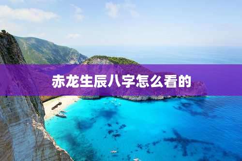 赤龙生辰八字怎么看的