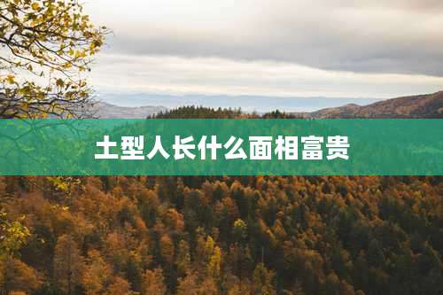 土型人长什么面相富贵