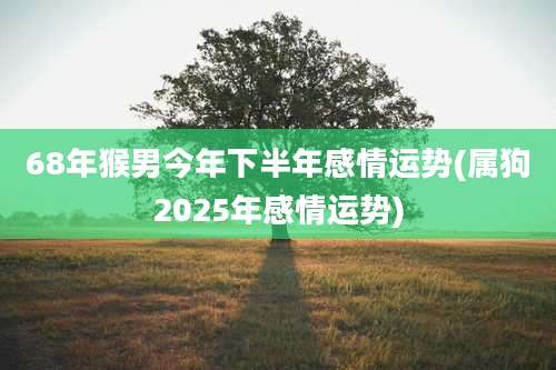68年猴男今年下半年感情运势(属狗2025年感情运势)
