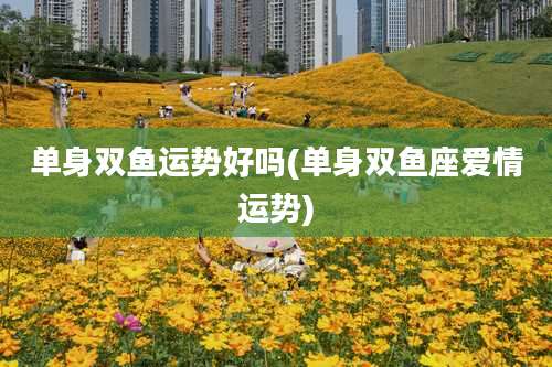 单身双鱼运势好吗(单身双鱼座爱情运势)