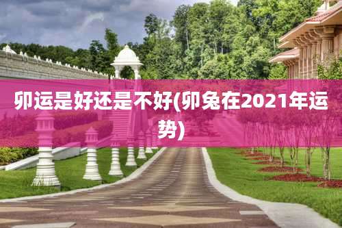 卯运是好还是不好(卯兔在2021年运势)