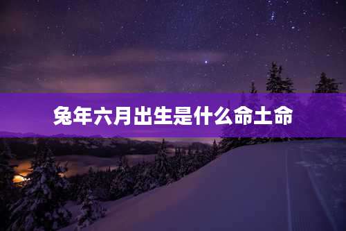 兔年六月出生是什么命土命