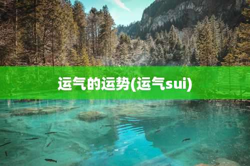 运气的运势(运气sui)