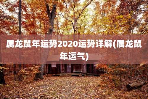 属龙鼠年运势2020运势详解(属龙鼠年运气)