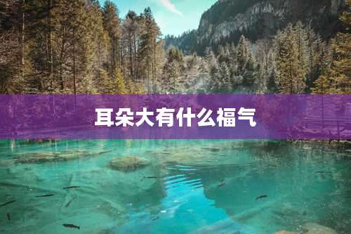 耳朵大有什么福气