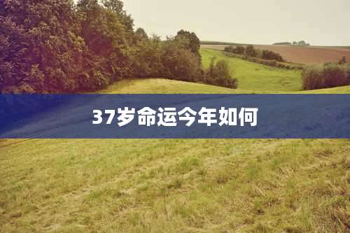 37岁命运今年如何