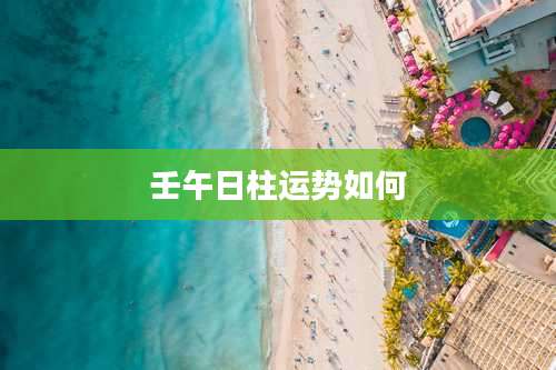 壬午日柱运势如何