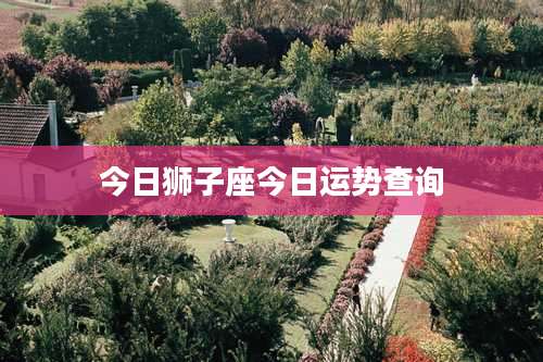 今日狮子座今日运势查询