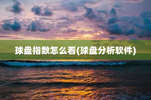 球盘指数怎么看(球盘分析软件)