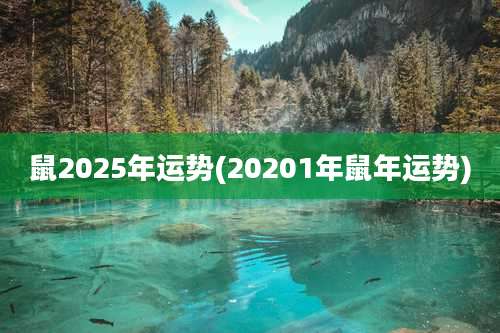 鼠2025年运势(20201年鼠年运势)