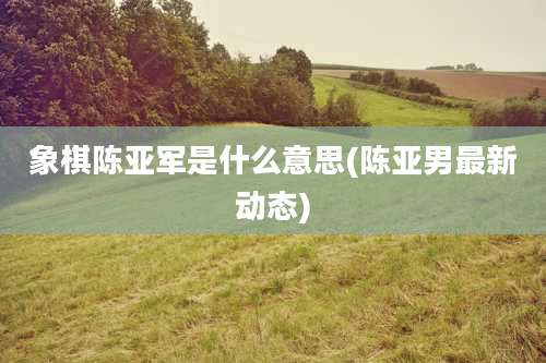 象棋陈亚军是什么意思(陈亚男最新动态)