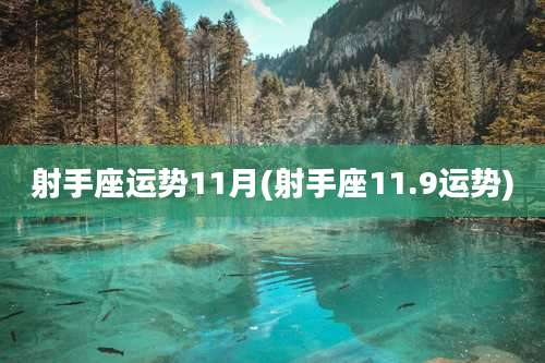射手座运势11月(射手座11.9运势)