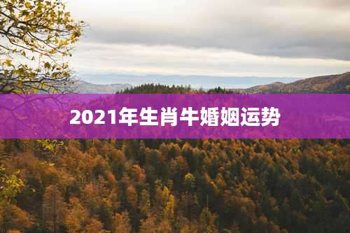 2021年生肖牛婚姻运势