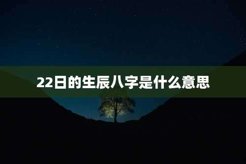 22日的生辰八字是什么意思
