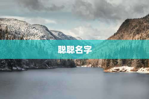聪聪名字