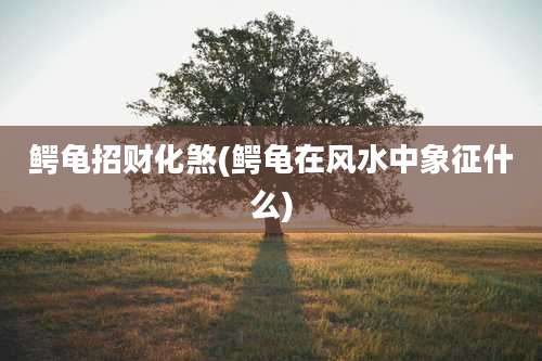 鳄龟招财化煞(鳄龟在风水中象征什么)