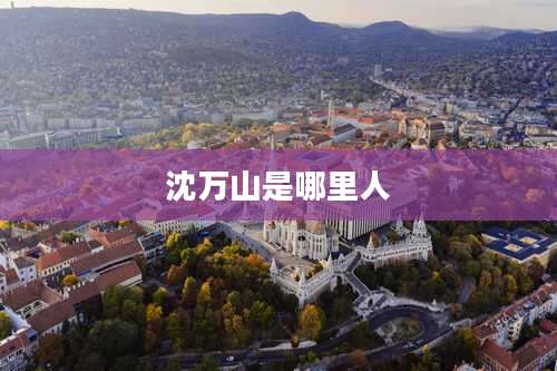 沈万山是哪里人